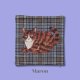 Maron
