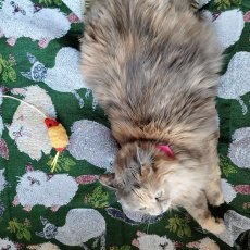 画像6: 【松尾ミユキ】タペストリーラグ｜グリーン（緑）｜Rabbit/Bird/Cat(Cat&Leaf/110113)｜うさぎと鳥と猫　ネコ　ねこ (6)