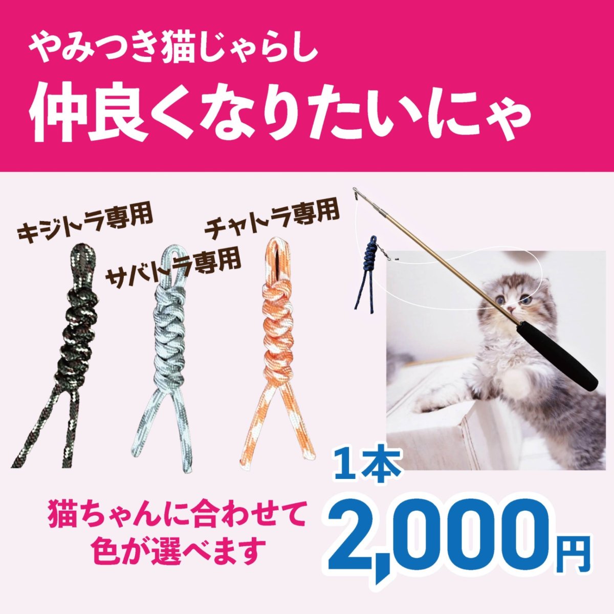 画像1: 【デザイナー直送品】送料込み【仲良くなりたいにゃ】猫じゃらし｜ついに猫カラー発売♪ デザイナーが作った丈夫な素材と選べるカラバリ♪ キジトラ・サバトラ・チャトラで選べる｜♥チャリティ―商品♥ (1)