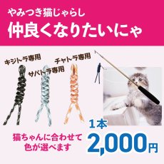 画像1: 【デザイナー直送品】送料込み【仲良くなりたいにゃ】猫じゃらし｜ついに猫カラー発売♪ デザイナーが作った丈夫な素材と選べるカラバリ♪ キジトラ・サバトラ・チャトラで選べる｜♥チャリティ―商品♥ (1)