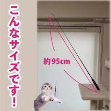 画像2: 【デザイナー直送品】送料込み【仲良くなりたいにゃ】猫じゃらし｜ついに猫カラー発売♪ デザイナーが作った丈夫な素材と選べるカラバリ♪ キジトラ・サバトラ・チャトラで選べる｜♥チャリティ―商品♥ (2)