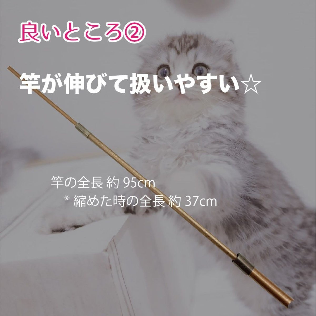 画像4: 【デザイナー直送品】送料込み【仲良くなりたいにゃ】猫じゃらし|つい夢中に♪デザイナーが作った丈夫な素材と選べるカラバリ♪ 青/ピンク/黄色/緑|♥チャリティ―商品♥ (4)