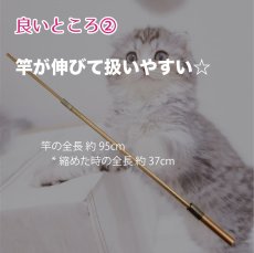 画像4: 【デザイナー直送品】送料込み【仲良くなりたいにゃ】猫じゃらし｜ついに猫カラー発売♪ デザイナーが作った丈夫な素材と選べるカラバリ♪ キジトラ・サバトラ・チャトラで選べる｜♥チャリティ―商品♥ (4)