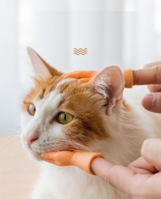画像7: 国内発送｜ペット用品　猫なで指サック｜選べる！右手　左手｜おもしろおもちゃ｜ソフビ指人形｜ラバートイ｜ミニフィンガーペットトイ｜猫用おもちゃ　お昼寝　運動　気分転換　スキンシップ　リラックス (7)