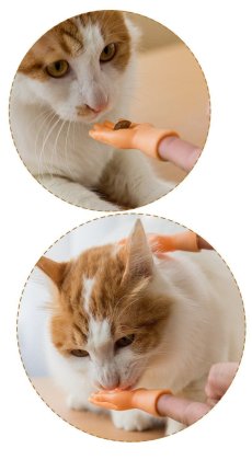 画像8: 国内発送｜ペット用品　猫なで指サック｜選べる！右手　左手｜おもしろおもちゃ｜ソフビ指人形｜ラバートイ｜ミニフィンガーペットトイ｜猫用おもちゃ　お昼寝　運動　気分転換　スキンシップ　リラックス (8)