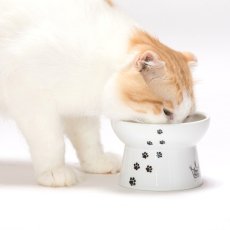 画像2: 【猫壱】ハッピーダイニング｜脚付フードボウル｜シリコン付き｜レギュラー｜猫用お皿｜ご飯・カリカリ・お水・おやつの時間♪｜猫ネコねこ (2)
