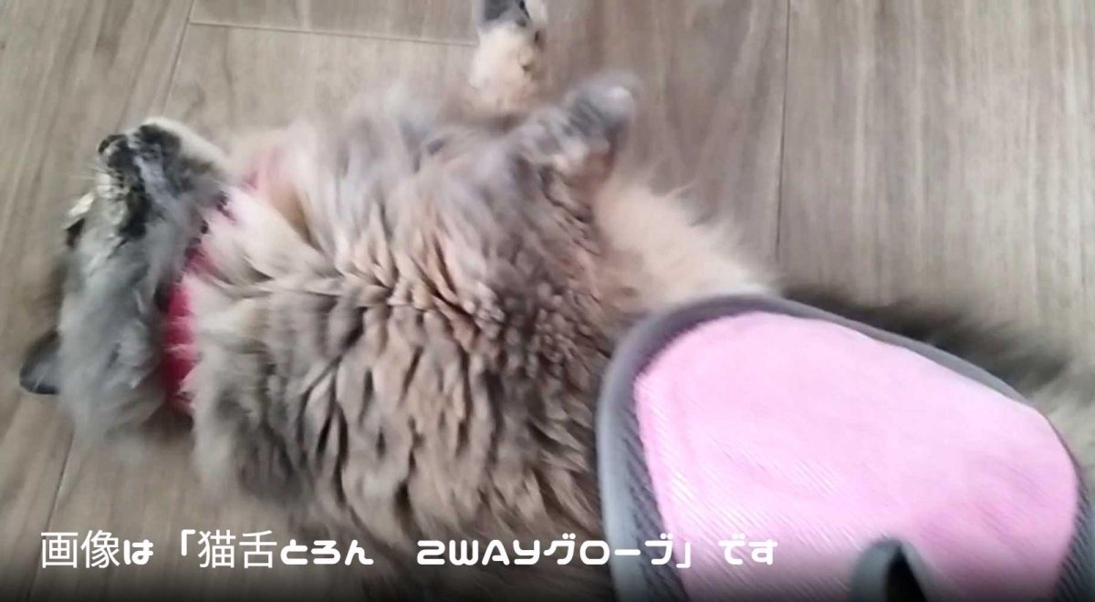 画像5: 【ビューティーワールド】森のトンネル|猫舌とろん グルーミングブラシ|猫舌感触♪グルーミング ブラッシングブラシ 毛づくろい お手入れ (5)