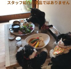 画像9: 【デザイナー直送品につき個別決済が必要です】本物の猫ちゃんと同じ、リアルなシルエット　猫ちゃんと同じ比率で作る！黒猫ちゃんのバッグ (9)