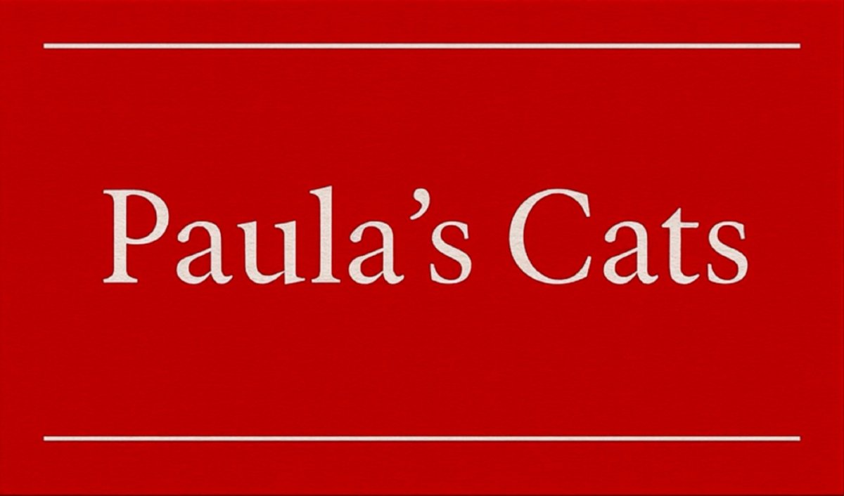 画像8: 【デザイナー直送品につき個別決済が必要です】本物の猫ちゃんと同じ、リアルなシルエット　猫ちゃんと同じ比率で作る！猫耳キャスケット帽子　〜PETER〜　帆布コットン×フェイクレザー (8)