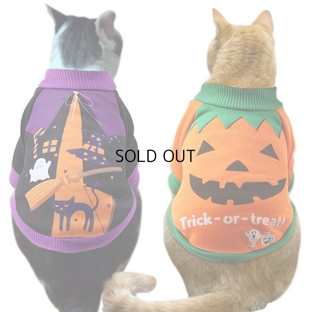 画像4: 国内発送｜ペット服　ハロウィン　猫魔女柄　パープル｜猫ちゃん用洋服｜オシャレ可愛い　イベント　記念撮影　プレゼント　贈り物　コスプレ (4)