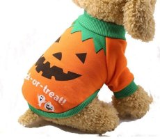 画像1: 国内発送｜ペット服　ハロウィン　パンプキン柄　オレンジ｜猫ちゃん用洋服｜オシャレ可愛い　イベント　記念撮影　プレゼント　贈り物　コスプレ (1)