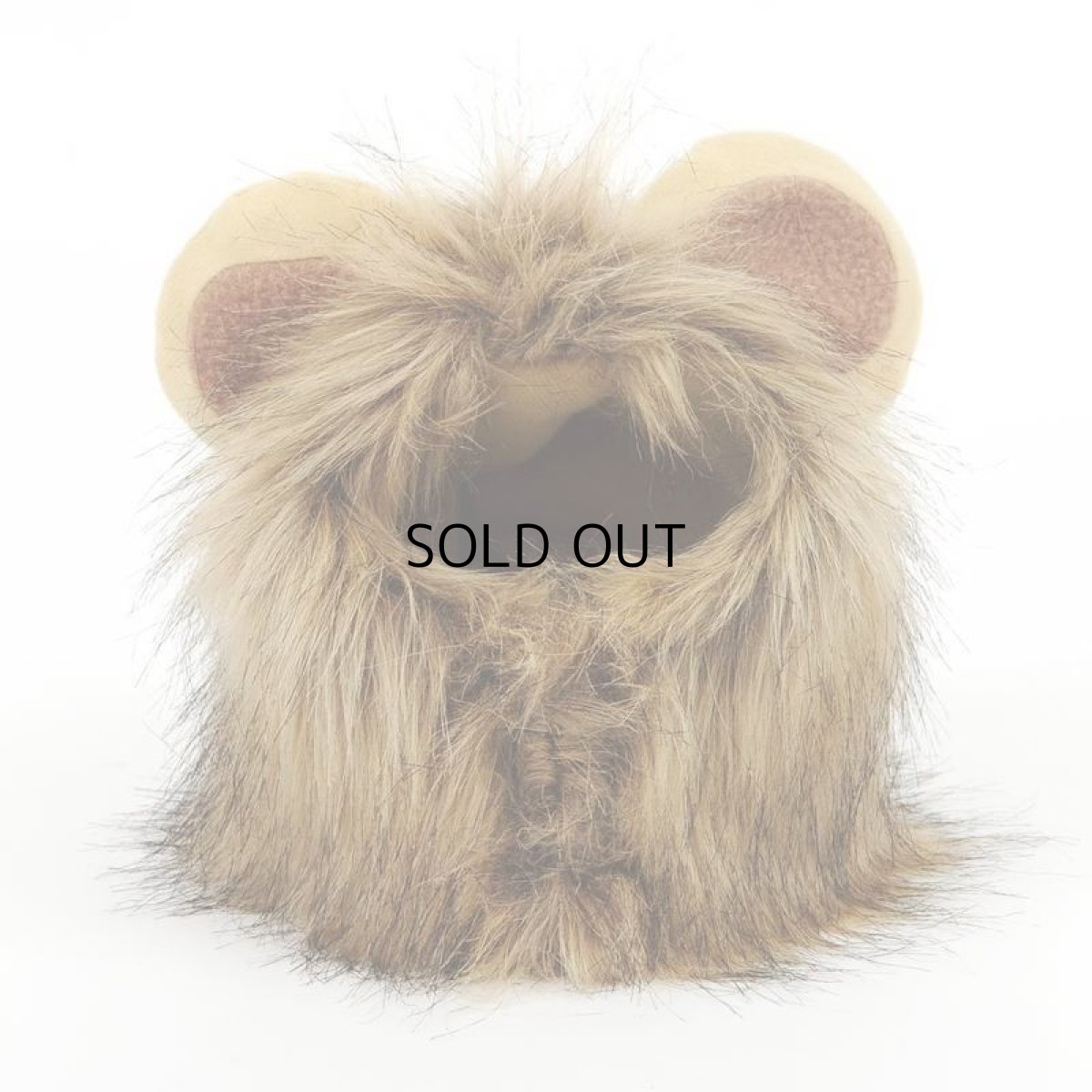 画像2: 国内発送|猫ちゃん用コスプレ ライオンL|ペット服 変身 かぶりもの イベント 記念撮影に♪ (2)