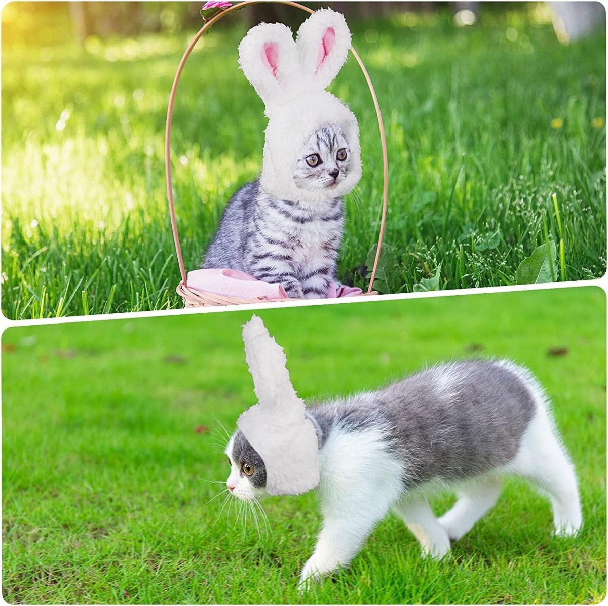 画像3: 国内発送|猫ちゃん用コスプレ なりきりうさぎちゃん ピンク|ペット服 変身 かぶりもの イベント 記念撮影に♪ (3)