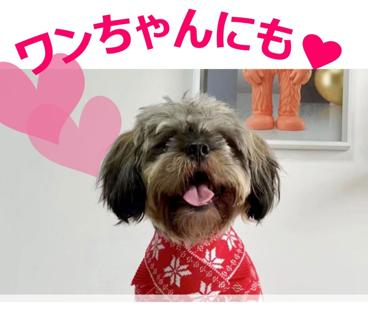 画像8: 国内発送|ペット服 アンサンブル マフラー付きニットカーディガン|猫ちゃん用洋服|オシャレ可愛い 記念撮影 プレゼント 贈り物 コスプレ (8)