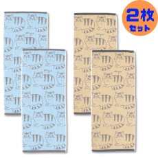 画像1: 【シマシマコーディ】ジャガードコットンタオル２枚セット　綿100%　34×80cm｜キャット フェイスタオル2P｜選べるカラー　ベージュ / スカイブルー｜ねこ猫ネコcat (1)