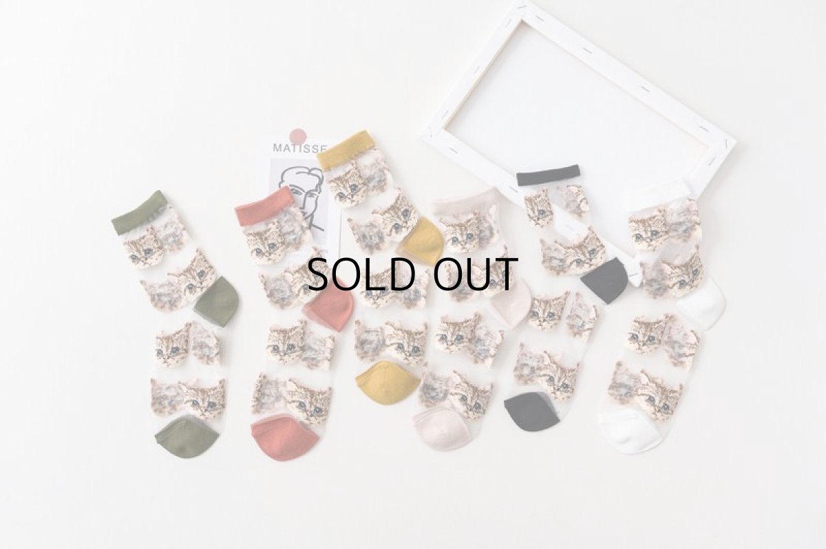 画像2: 国内発送｜透け感シアーソックス　ホワイト（白色）｜足元涼し気♪　シースルー靴下　猫総柄　オシャレ可愛い　ファッション (2)