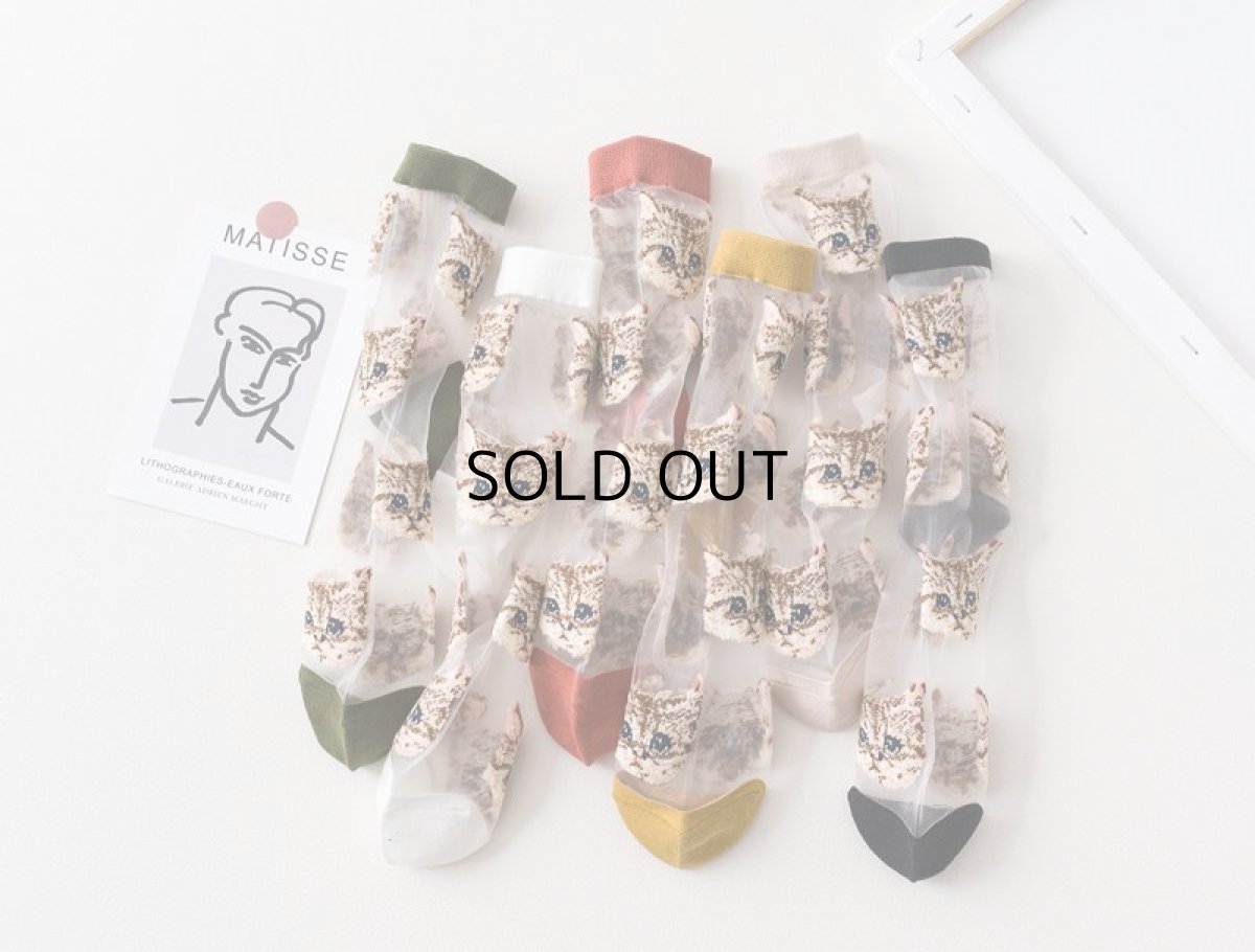 画像3: 国内発送｜透け感シアーソックス　ホワイト（白色）｜足元涼し気♪　シースルー靴下　猫総柄　オシャレ可愛い　ファッション (3)