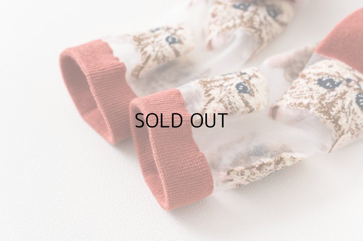 画像4: 国内発送｜透け感シアーソックス　ホワイト（白色）｜足元涼し気♪　シースルー靴下　猫総柄　オシャレ可愛い　ファッション (4)