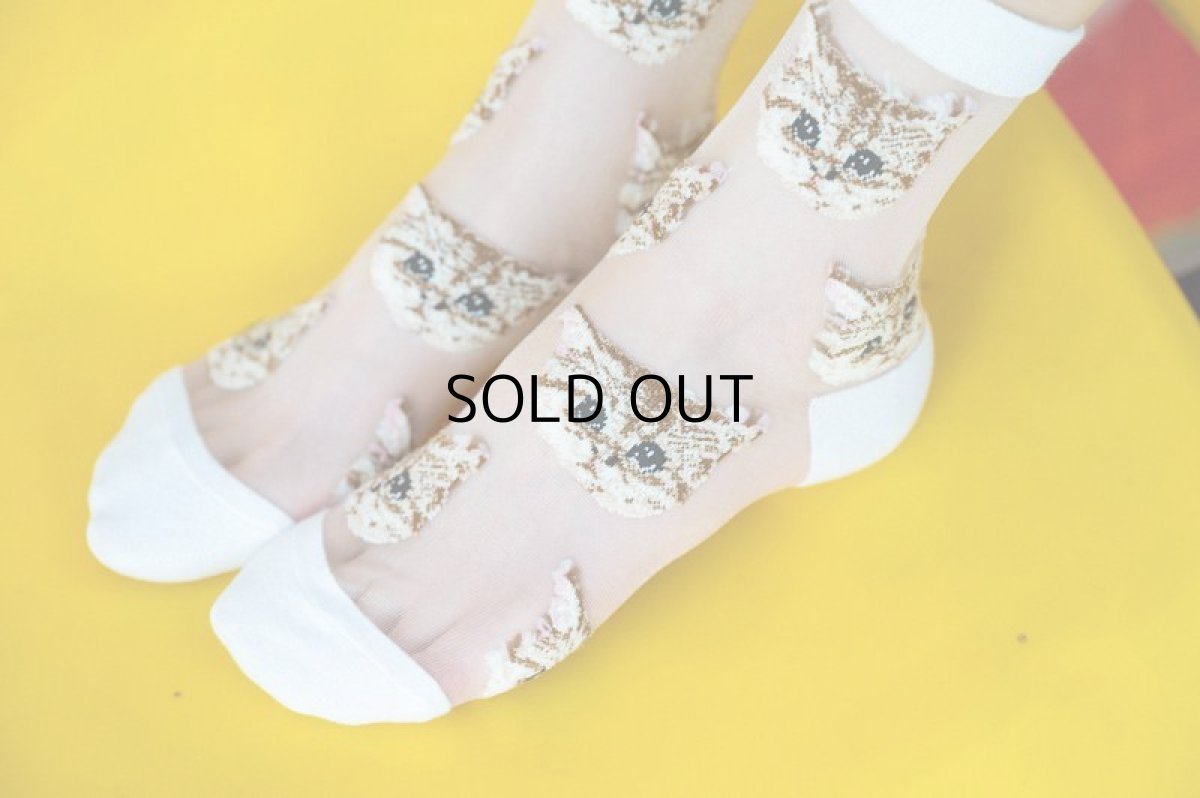 画像5: 国内発送｜透け感シアーソックス　ホワイト（白色）｜足元涼し気♪　シースルー靴下　猫総柄　オシャレ可愛い　ファッション (5)