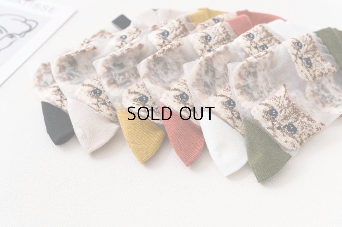 画像9: 国内発送｜透け感シアーソックス　ホワイト（白色）｜足元涼し気♪　シースルー靴下　猫総柄　オシャレ可愛い　ファッション (9)