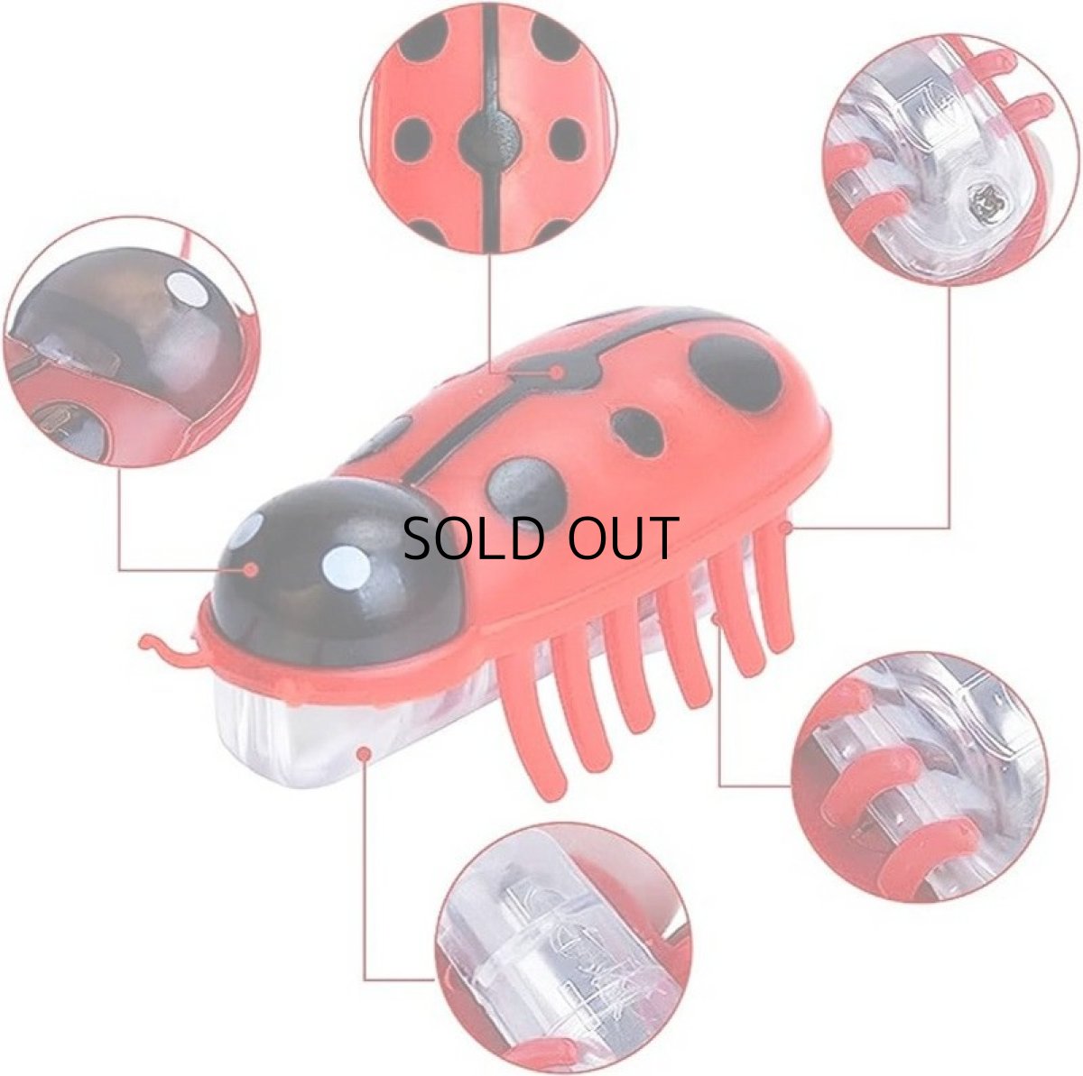 画像2: 国内発送|猫用おもちゃ 電動てんとう虫 夢中になる♪逃げるテントウムシ|ペット用品 運動 気分転換 スキンシップ リラックス プレゼント 贈り物 (2)