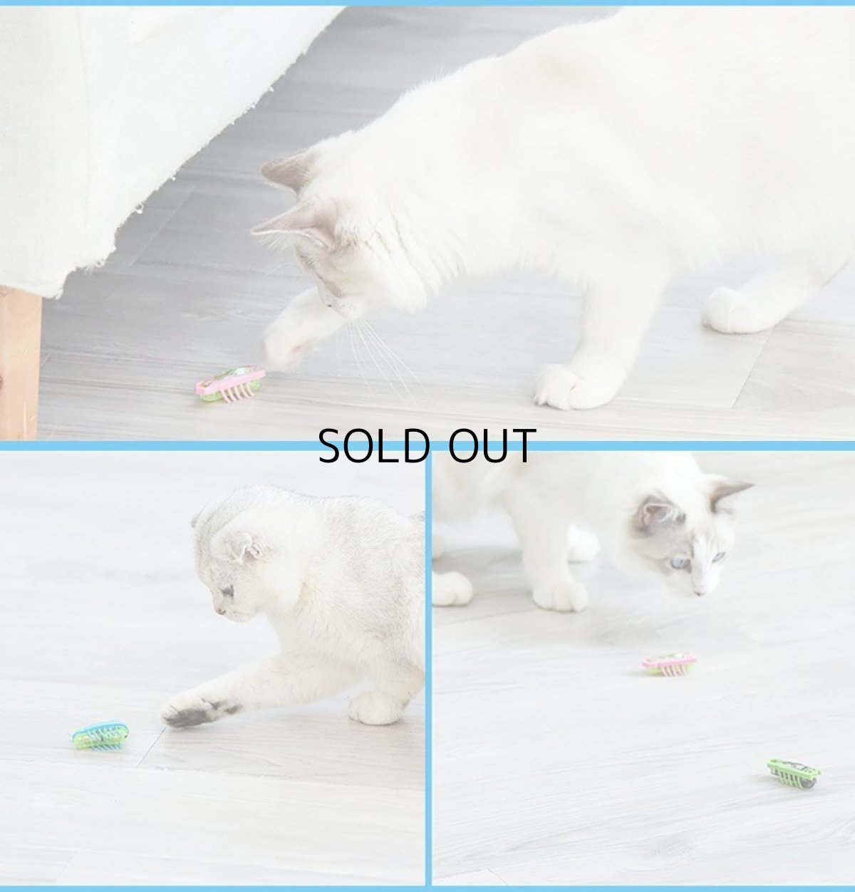 画像5: 国内発送|猫用おもちゃ 電動てんとう虫 夢中になる♪逃げるテントウムシ|ペット用品 運動 気分転換 スキンシップ リラックス プレゼント 贈り物 (5)