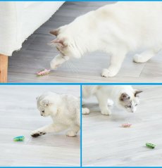 画像5: 国内発送｜猫用おもちゃ　電動てんとう虫　夢中になる♪逃げるテントウムシ｜ペット用品　運動　気分転換　スキンシップ　リラックス　プレゼント　贈り物 (5)