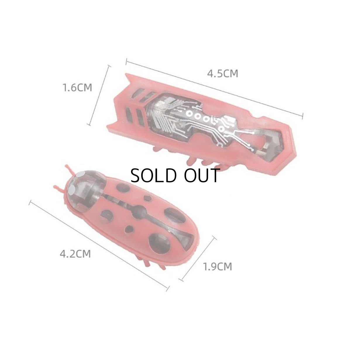 画像7: 国内発送|猫用おもちゃ 電動てんとう虫 夢中になる♪逃げるテントウムシ|ペット用品 運動 気分転換 スキンシップ リラックス プレゼント 贈り物 (7)