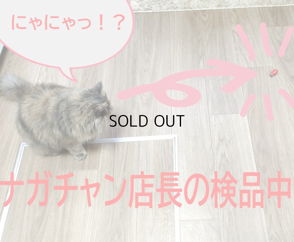 画像9: 国内発送|猫用おもちゃ 電動てんとう虫 夢中になる♪逃げるテントウムシ|ペット用品 運動 気分転換 スキンシップ リラックス プレゼント 贈り物 (9)