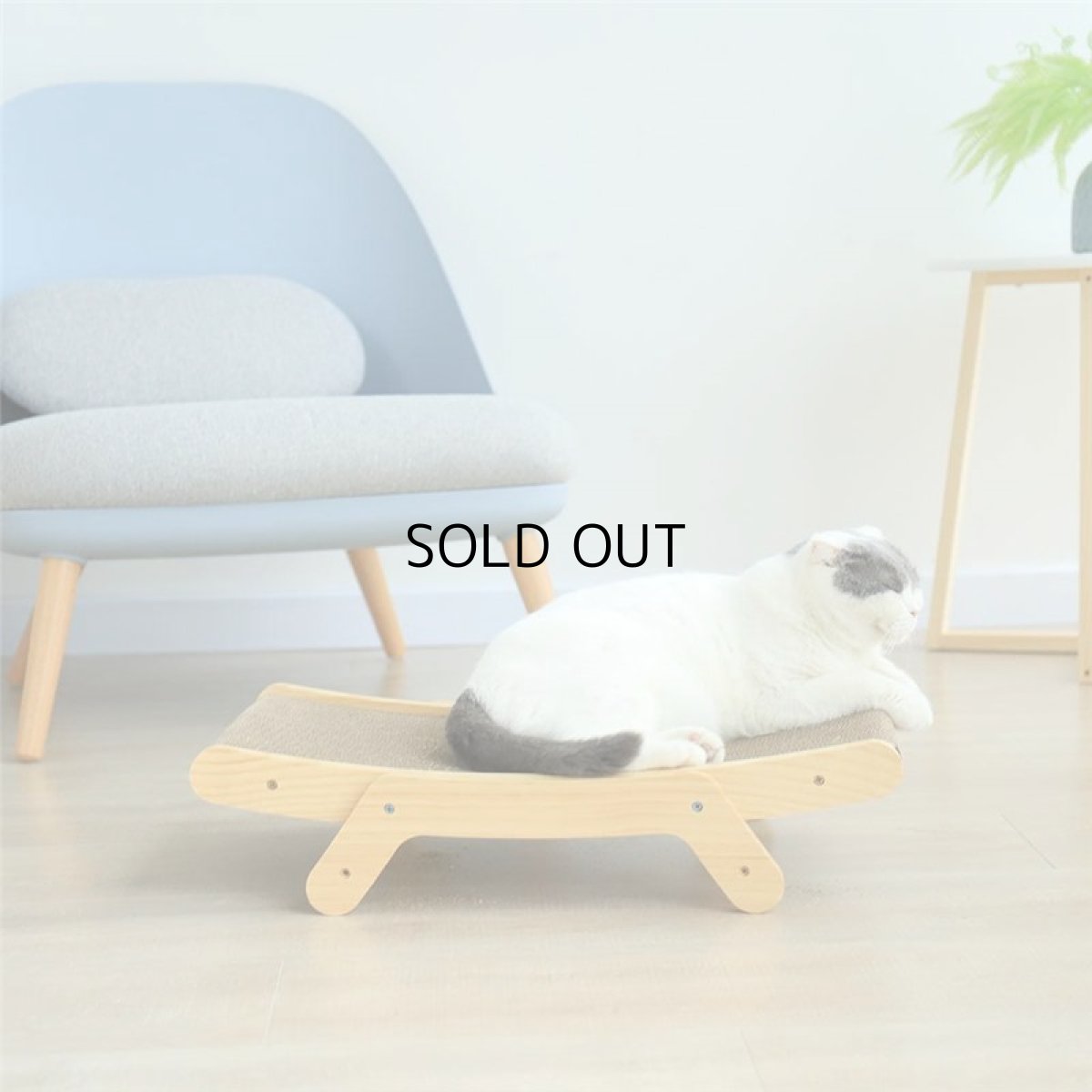 画像6: 国内発送｜使い方３通り ３ＷＡＹ 段ボール爪とぎ・リラックススペアボード　スペア　張り替え　交換ボード｜ペット用品　猫用おもちゃ　お昼寝　運動　気分転換　スキンシップ　リラックス　プレゼント　贈り物 (6)