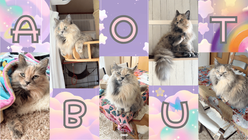 猫雑貨ナガチャン ABOUT