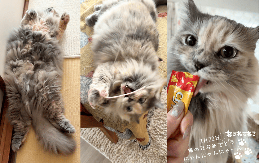 いまのナガチャン