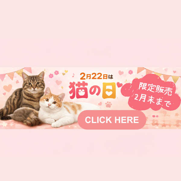 猫の日特集
