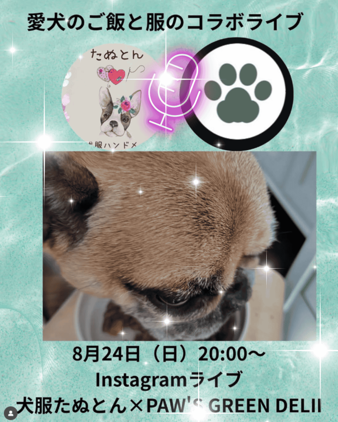 【8/24(日)20時~】インスタライブ:おしゃかわ犬服で大人気!ハンドメイド作家のたぬとんさん×犬猫の“食べる幸せ"Paw’s Green Deliさんコラボ配信