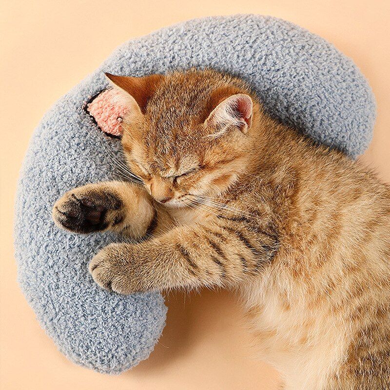国内発送｜猫ちゃん抱き枕｜青色｜ブルーミスト｜ふんわりピロー　もこもこクッション｜リラックス　くつろぎ　保護まくら