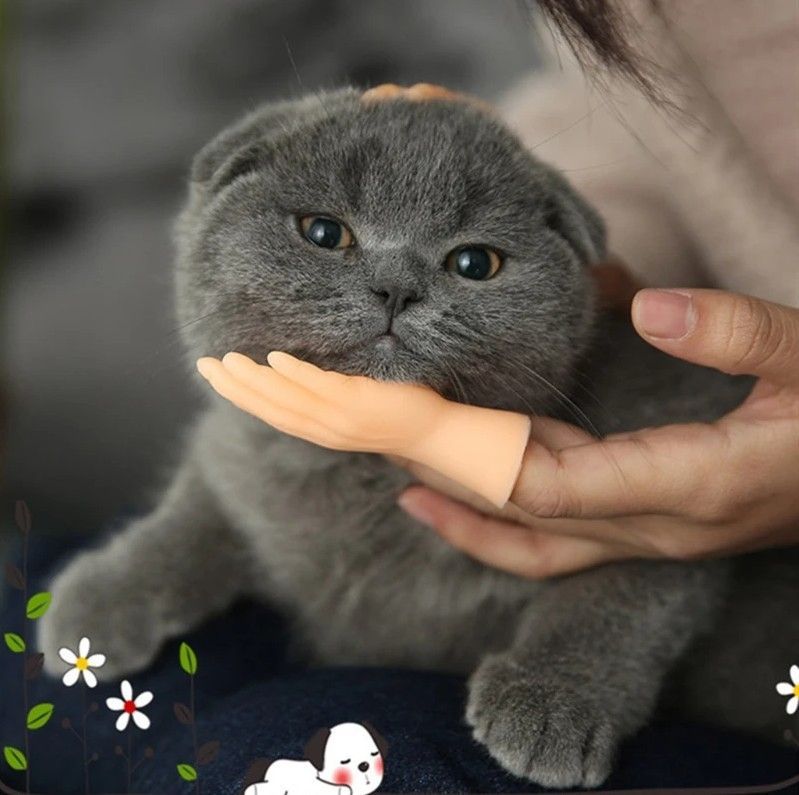 国内発送｜ペット用品　猫なで指サック｜選べる！右手　左手｜おもしろおもちゃ｜ソフビ指人形｜ラバートイ｜ミニフィンガーペットトイ｜猫用おもちゃ　お昼寝　運動　気分転換　スキンシップ　リラックス