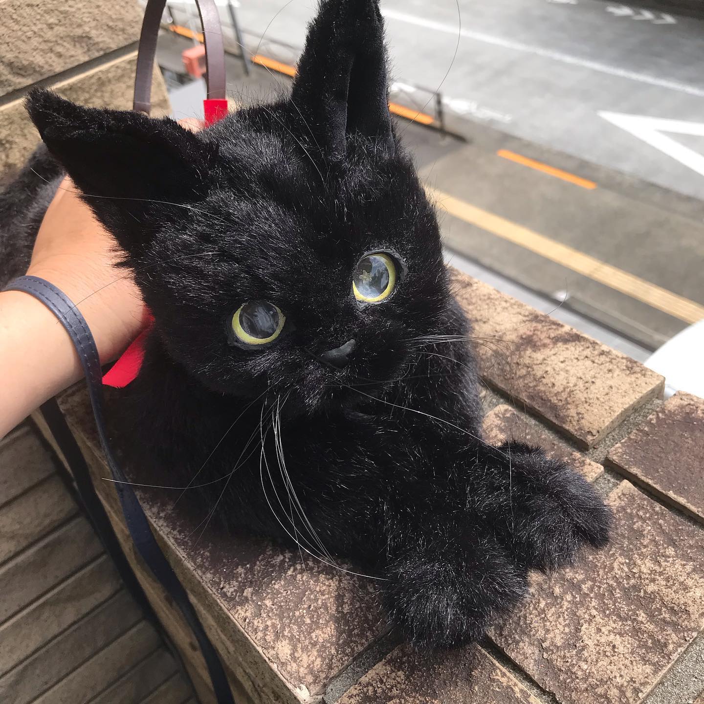 【デザイナー直送品につき個別決済が必要です】本物の猫ちゃんと同じ、リアルなシルエット　猫ちゃんと同じ比率で作る！黒猫ちゃんのバッグ